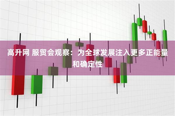 高升网 服贸会观察：为全球发展注入更多正能量和确定性