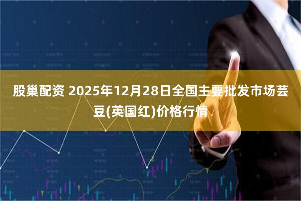 股巢配资 2025年12月28日全国主要批发市场芸豆(英国红)价格行情