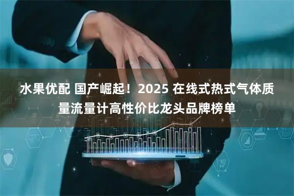 水果优配 国产崛起！2025 在线式热式气体质量流量计高性价比龙头品牌榜单