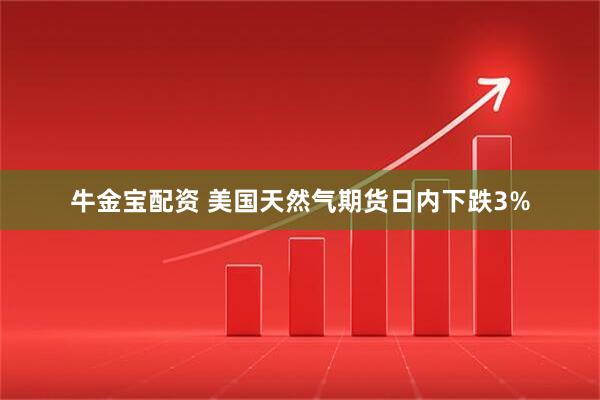 牛金宝配资 美国天然气期货日内下跌3%